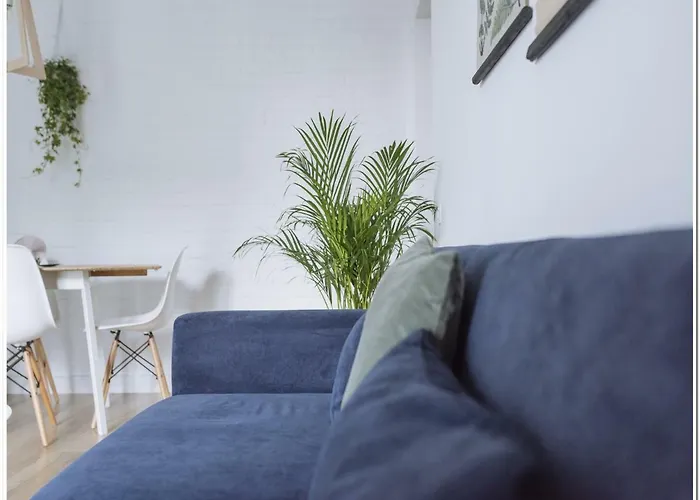 Apartman Spacious, Lovely, Bright In The Old Town